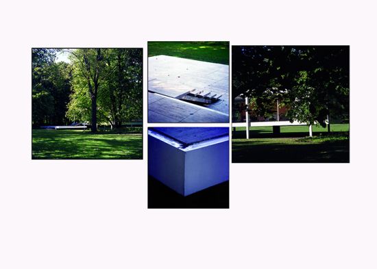 Fotos des Farnswoth House von Ludwig Mies Van Der Rohe