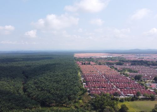 Die Parzellierung einer ehemaligen Plantage gibt die Bebauungsstruktur vor.