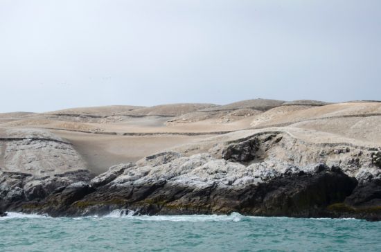 Pachacamac Islands (photo: Jens Knöpfel)